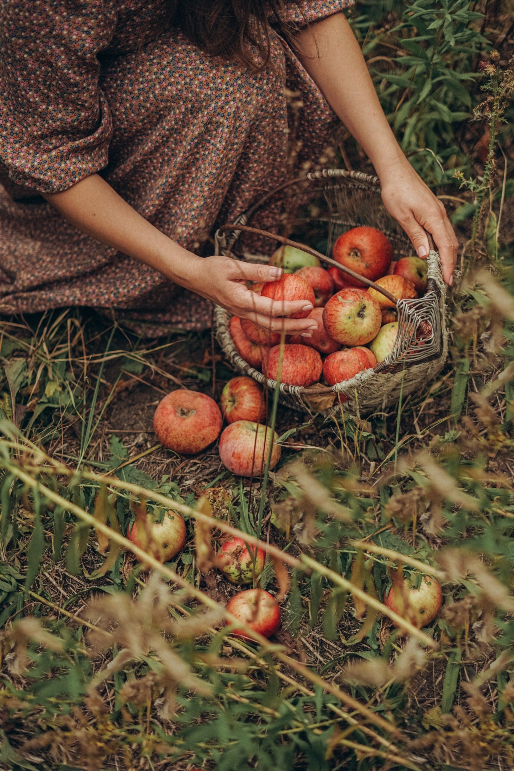 Grow Your Own Food