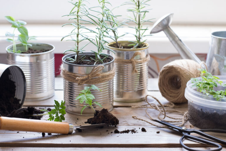 Upcycled home decor items including a tin can planter